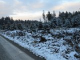 2021-11-27 - Erster Schnee im Solling (3)